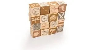 Wooden Blocks Fossils